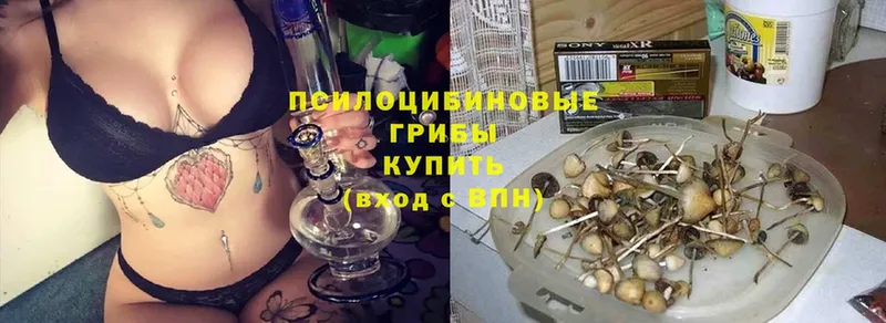 shop официальный сайт  Минеральные Воды  кракен зеркало  Галлюциногенные грибы Psilocybine cubensis  где найти наркотики 